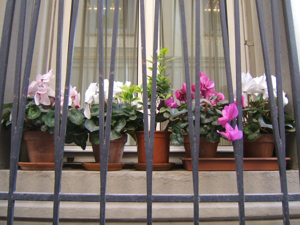 Hotel Nuova Italia Firenze Eksteriør bilde